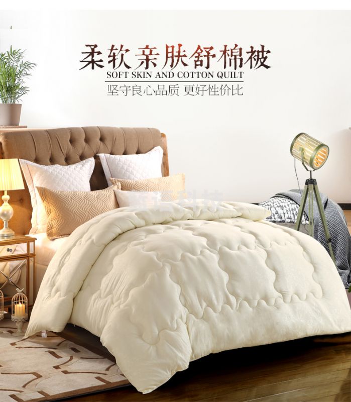被芯家纺 春秋保暖被子 四季棉被 五斤 PHVZ11101300158654
