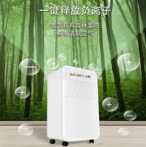 志高（CHIGO）除湿机 家用抽湿机20升/天 20-40㎡-70㎡整屋除湿卧室地下室净化干衣机除湿器 20L/天 手机APP操控+负离子净化+松下压缩机 ZG-A31