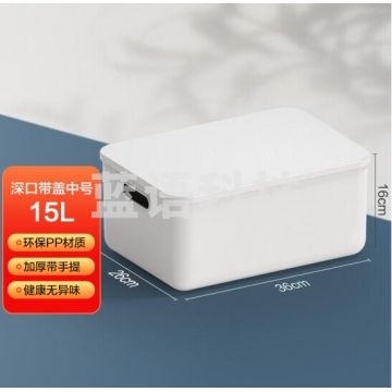 维简(Vilscijon)简约内衣收纳盒 收纳箱桌面塑料分隔 QJ.556