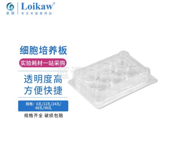 垒固 巴罗克 细胞培养板 培养板 玻片 细胞培养板6孔 5个