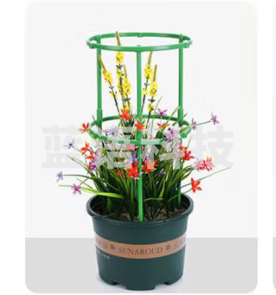 绿园匠 植物爬藤支架花卉绿植攀爬固定支柱防倒伏支撑固定花盆架子两层