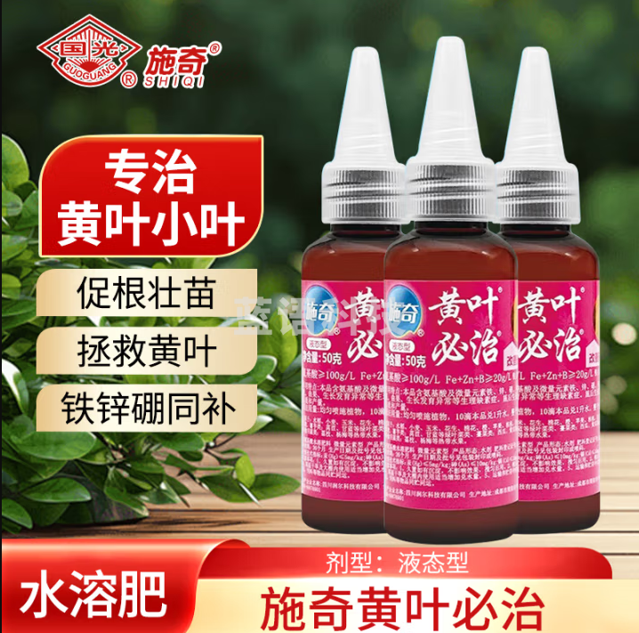 国光 施奇黄叶必治氨基酸铁微量元素肥料植物黄叶小叶绿叶叶面肥水溶肥料50克*1瓶（5瓶起订）