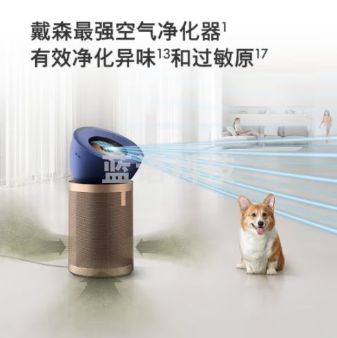 戴森（DYSON）DYSON BP04空气净化器 大面积净化异味和过敏原 滤除花粉 宠物毛发 输出洁净凉风 【蓝金色】