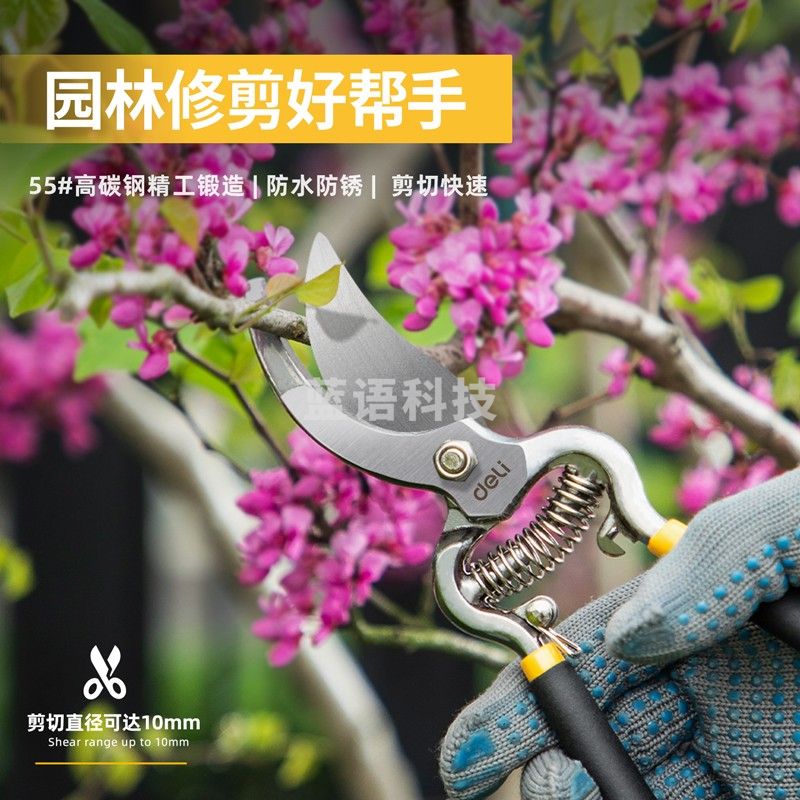 得力 60把/箱 DL2778_不锈钢直嘴花木剪8