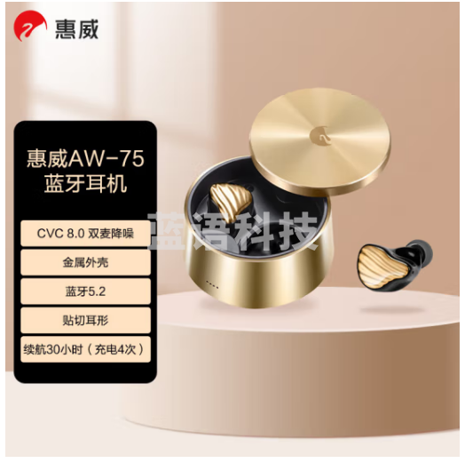惠威（HiVi）AW-75 无线蓝牙耳机 真无线HiFi耳机 蓝牙5.2长续航支持通话降噪 鎏金