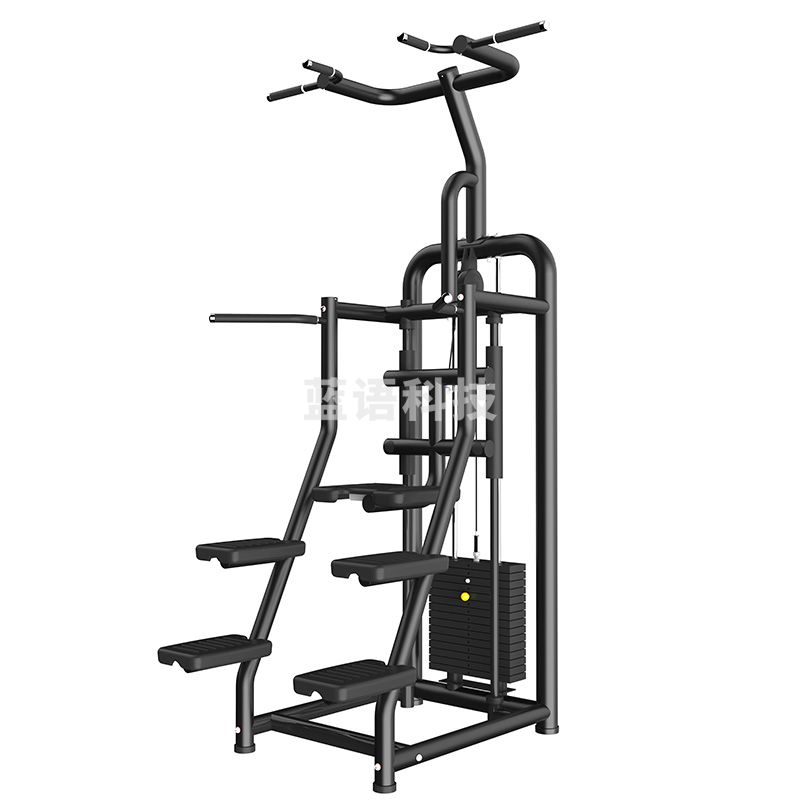 力动RIDO    助力引体下拉 RD501