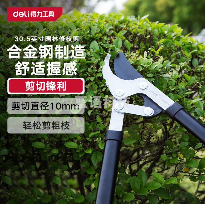 得力（deli）高碳钢刀头粗枝剪树枝剪果树剪园林园艺剪刀可剪0-30mm DL580321