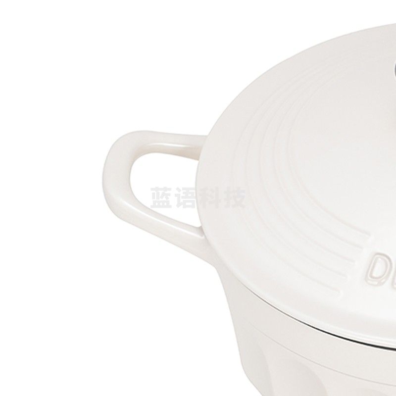 德世朗（DESLON）禾味珐琅焖炖锅24cm DFS-T861CNW 个
