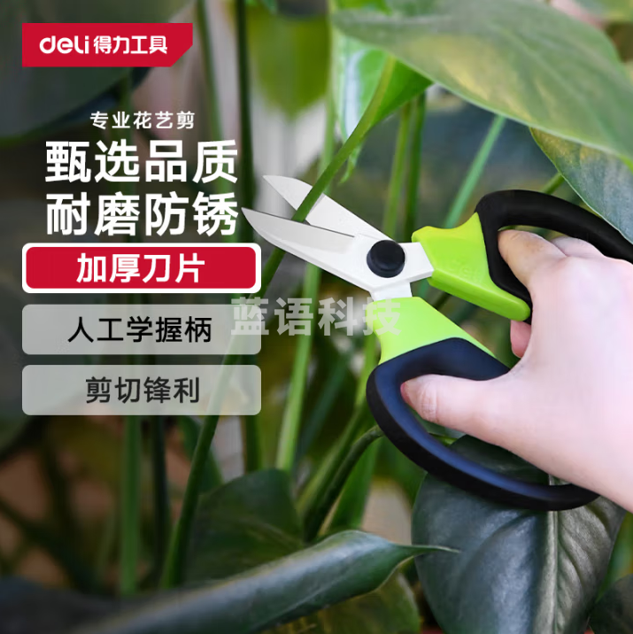 得力（deli）花枝剪花艺剪刀园艺剪刀 家用鲜花专用剪刀 盆栽花卉修剪刀 绿色 【加厚刀片】专业花艺剪
