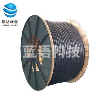 津达线缆 YJV22-4*185+1*95平方铠装电力电缆 单位：米