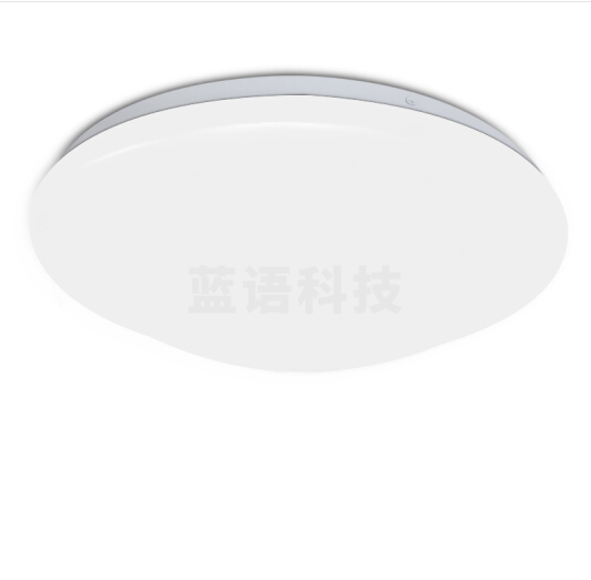 绿鑫 LED 声光控吸顶灯 12W （230mm底盘）