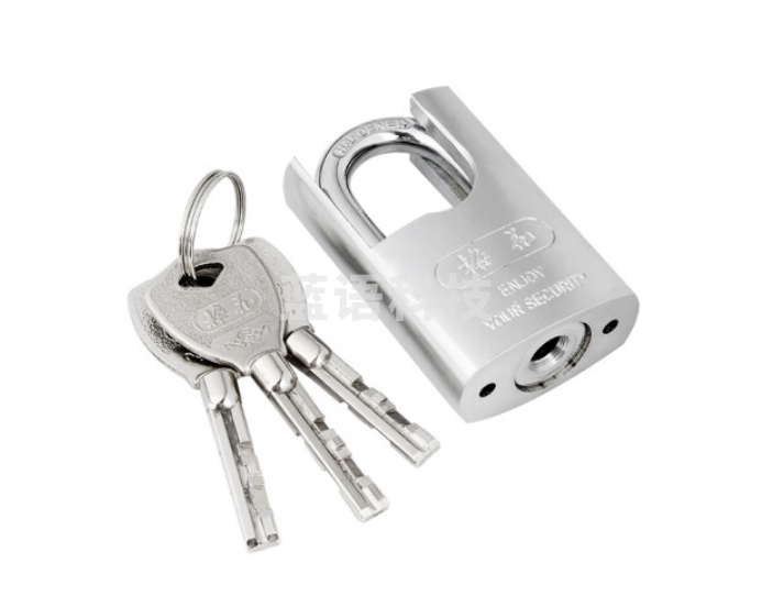 梅花（BLOSSOM）挂锁LS3040仓库车厢大门挂锁 商铺防盗锁具 半包钢挂锁