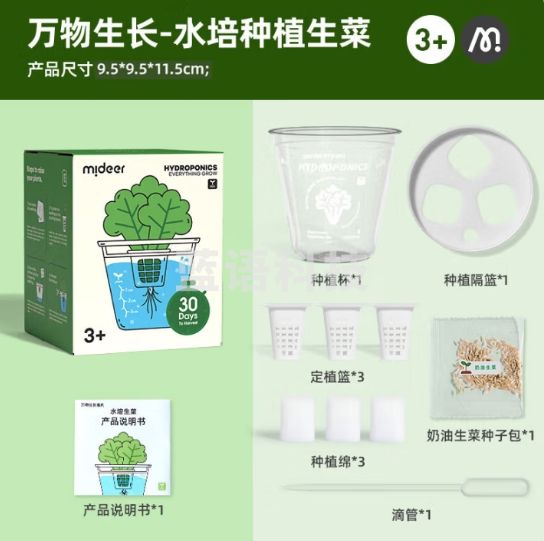 弥鹿（MiDeer）儿童植物观察阳光房种植菜科学手工小实验万物生长-水培生菜