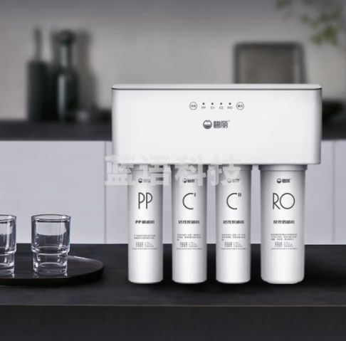 碧丽家用净水器反渗透直饮水净水一体机五级过滤大通量厨下式壁挂净水设备 RO-4
