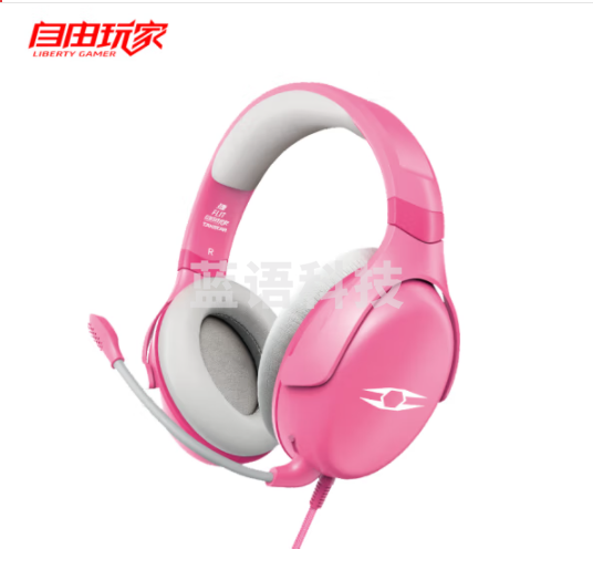 得胜/TAKSTAR 捷 FLIT 耳机（耳麦）