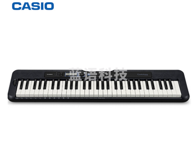 卡西欧(CASIO)电子琴CT-S300儿童成人便携时尚潮玩儿童成人娱乐学习61键电子琴