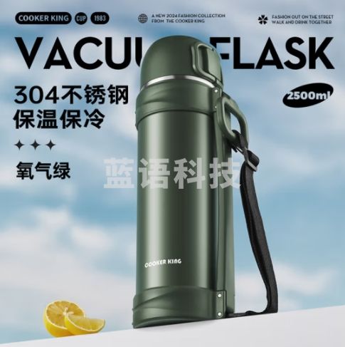炊大皇保温壶不锈钢大容量车载真空保温水壶户外旅行壶暖水瓶 2.5L TS25A4