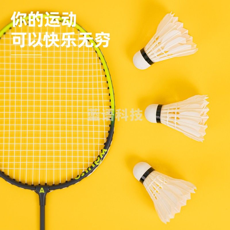 得力（deli）安格耐特系列 50筒/箱 羽毛球训练耐打12只装/筒F2202