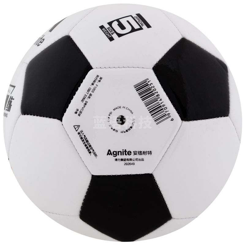 得力(deli)5号标准训练足球 40个/箱 PVC机缝教学用球F1203