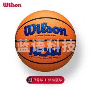 威尔胜 Wilson WZ1003305CN7 7号标准训练竞赛球