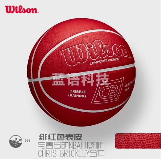 Wilson 官方NBA专业训练加重篮球室内外通用成人PU材质7号球 WTB00202XB 7号篮球