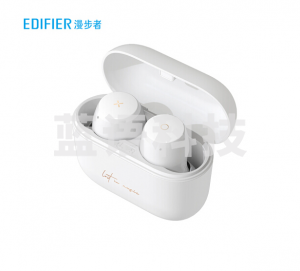 漫步者（EDIFIER）MiniBuds 真无线蓝牙耳机 冰川灰