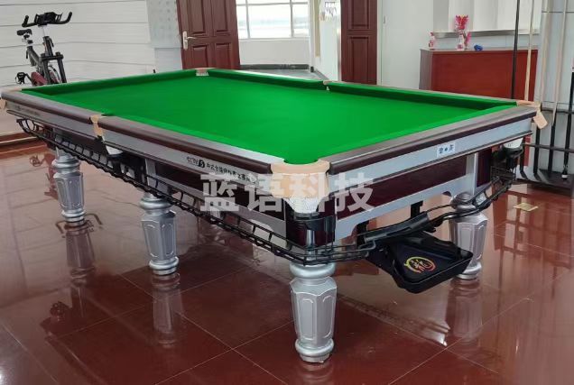 津英 银腿台球桌