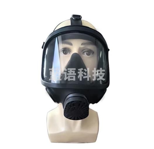 雅仕通 MF15型防毒面具自吸过滤式全面罩双通道面具 单面具