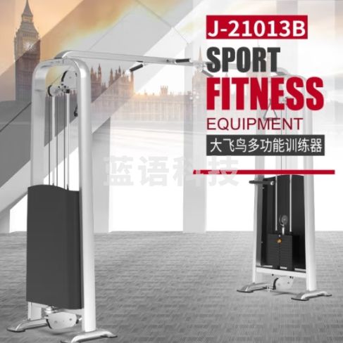 捷瑞特综合训练器局部J210系列多功能健身器材大型 J-21013B大飞鸟多功能训练器
