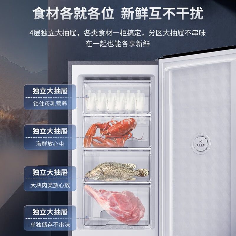 澳柯玛（AUCMA）一级能效侧开门立式冰柜 电脑智能控温全冷冻家用商用母乳柜小冷柜 BD-113EVH