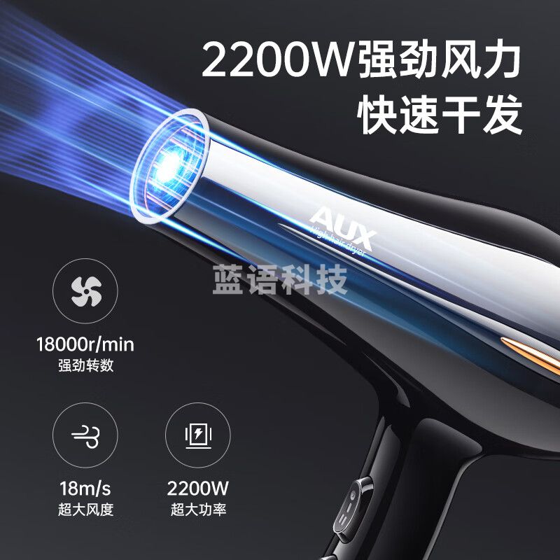 奥克斯（AUX）吹风机家用蓝光负离子大功率电吹风2200W吹风筒大风力速干理发店专用发廊吹头发电风吹AH7616I