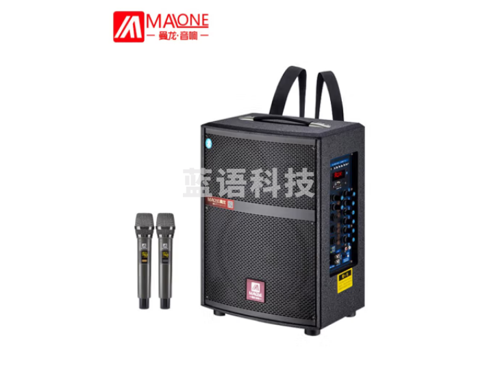 曼龙（MALONE）M-610S音响三分频带声卡无线话筒 铅酸电池+话筒耳麦