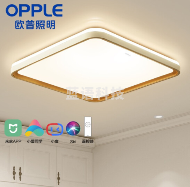 欧普照明（OPPLE）品见5050智能卧室灯LED吸顶灯AI语音米家APP控制灯具灯饰套餐 智能音箱/AI智控调光