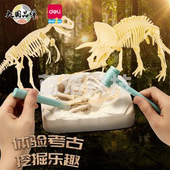 得力YX401考古挖掘套装-三角龙(混)(盒)