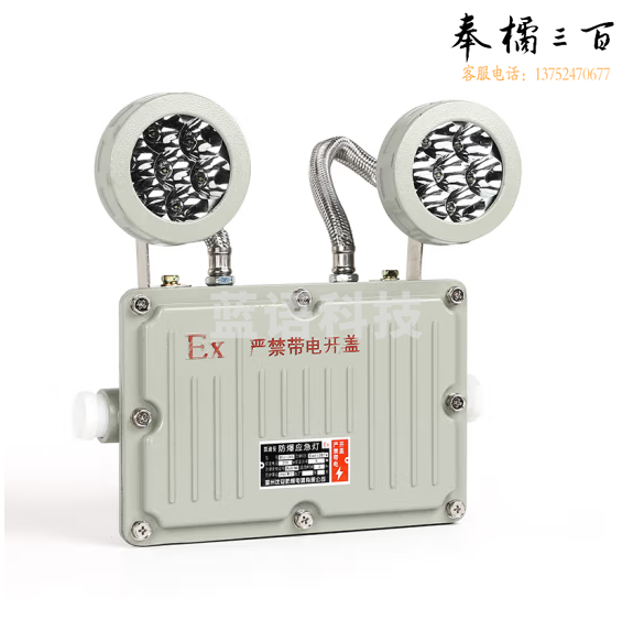 防爆应急照明灯  防爆应急灯