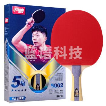 红双喜/DHS，乒乓球拍 5星 H5002/H5006