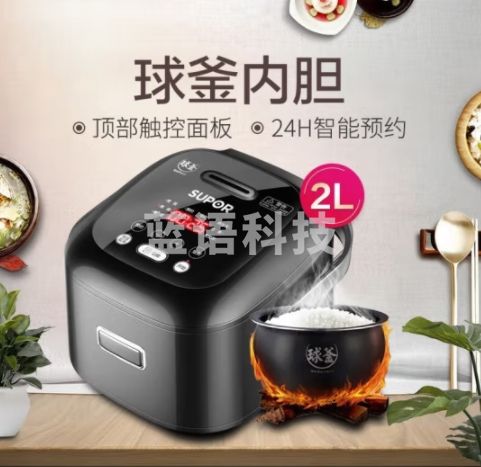 苏泊尔（SUPOR）电饭煲 2L 迷你智能电饭煲可预约定时 家用多功能球釜内胆电饭锅FXB20FC615-35