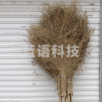 巨联(JULIAN) 竹扫把  大竹扫帚 手工竹制扫帚 (单把)