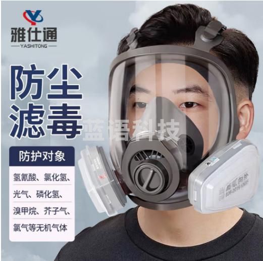雅仕通 防毒面具全面罩+滤盒防氯/氯化氢/氢氰酸等无机气体印刷制药加工防毒面罩 套装