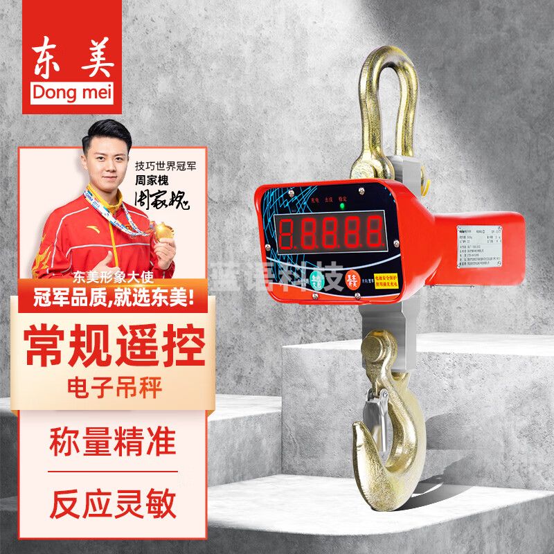 东美（Dongmei）电子吊钩秤OCS吊秤行车吊称5吨电子秤天车秤无线遥控起吊磅