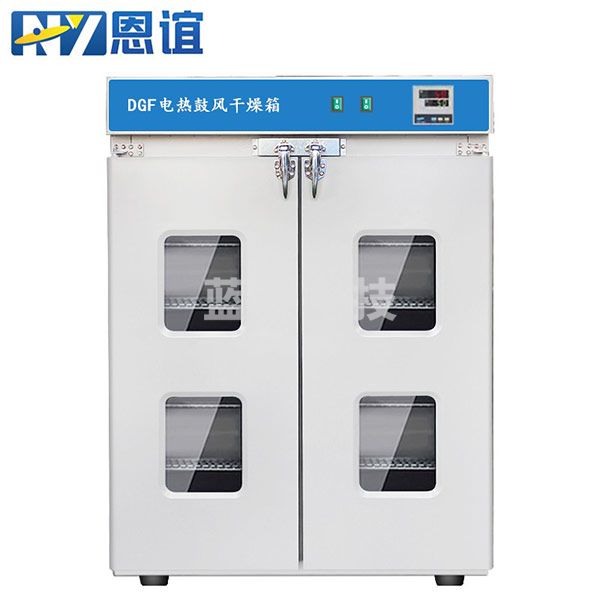 恩谊 电热恒温鼓风干燥箱实验室药材食品烘干老化试验工业烤箱 镀锌内胆 DGF-5内部100*100*120cm