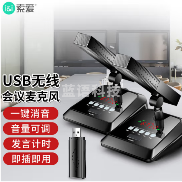 索爱(soaiy)SA-H4B一拖二款电脑USB无线话筒麦克风 视频会议网络教学话筒 U段升级款