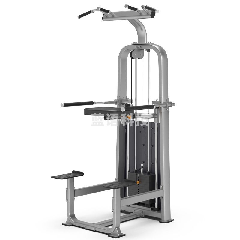 1101083536EA 捷瑞特 J-21019 单双杠及提腿腹肌复合训练器 1100x1010x2210mm 深灰色M&C20442