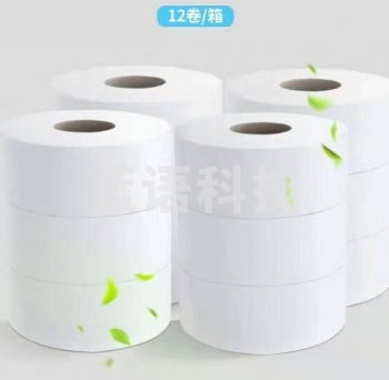 WP2240-01 卷纸 商用大盘纸卫生纸厕纸 2层*240米*12卷（整箱销售）QJ.441