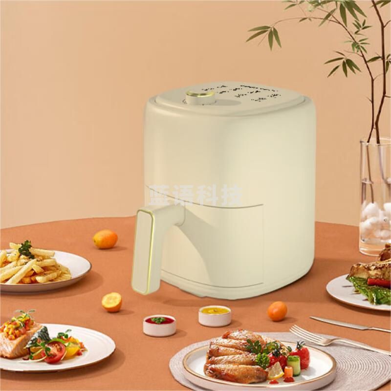 荣事达多功能空气炸锅电烤锅薯条锅 RS-AF826