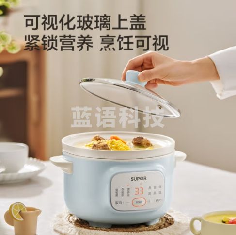 苏泊尔(SUPOR)电炖锅 电炖蛊 煲汤锅炖汤锅 燕窝炖蛊 煮神器 电汤锅 电煮锅 婴儿辅食锅 DG15YC885A
