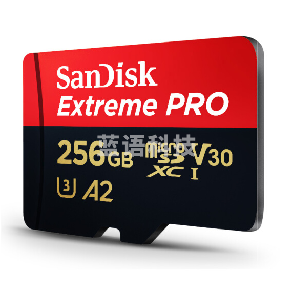 闪迪（SanDisk）256GB TF（MicroSD）存储卡 U3 C10 V30 A2 4K 至尊超极速移动版内存卡 SDSQXCZ-256G-ZN6MA 读速170MB/s SDSQXCZ-256G-ZN6MA