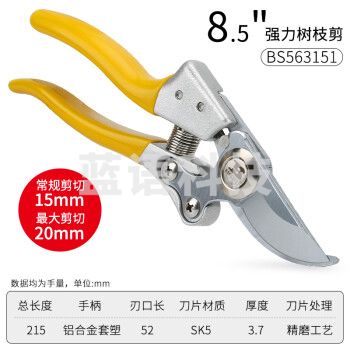 波斯（BOSI）强力款树枝剪花剪修枝园林工具粗枝剪修果树省力剪刀 BS563151（8.5寸）