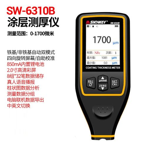 深达威高精度涂层测厚仪漆膜仪镀锌油漆厚度测量仪汽车漆面检测仪 SW-6310B(铁铝两用+锂电语音+电脑联机+数