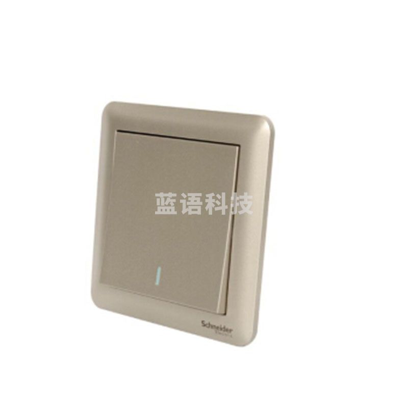 施耐德 A3B32_1A_WG 2位 单控开关 磨砂金（单位：个）